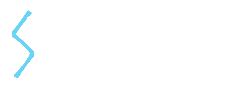 Storm Race Logo