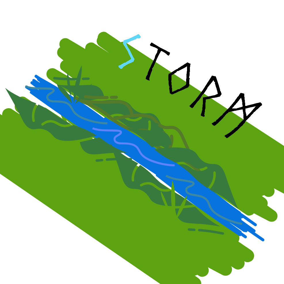 06 Stream Run