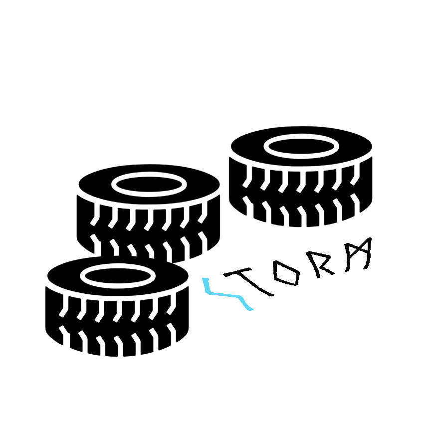 20 Tyre Flip